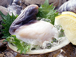 ホッキ貝のまぜご飯