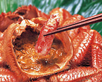 毛蟹　カニみそ