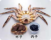 タラバガニの内子と外子
