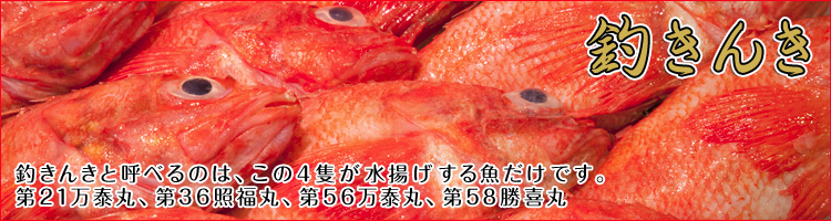 釣きんき