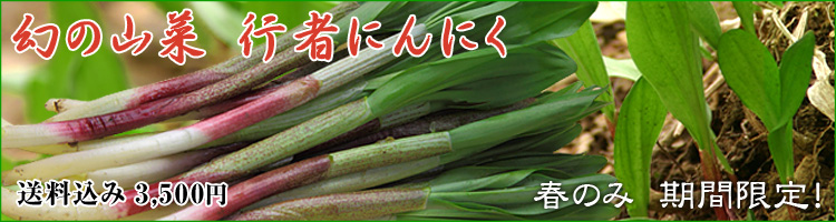 行者にんにく