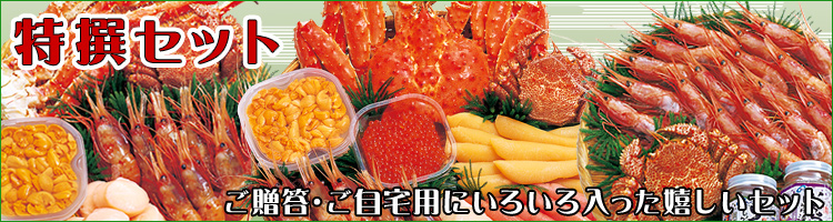 特撰セット