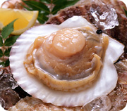北海道産 貝付活帆立