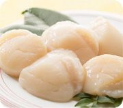 生帆立貝柱