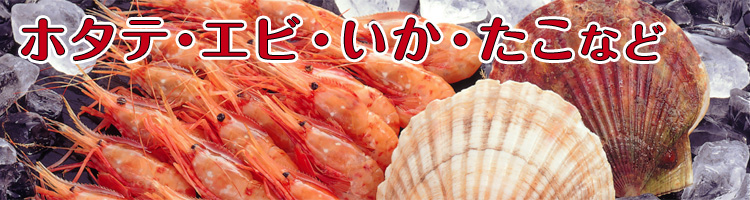 ホタテ・エビ・いか・たこなど