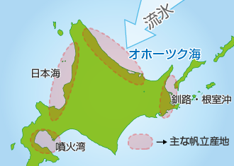帆立産地