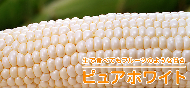 ピュアホワイト