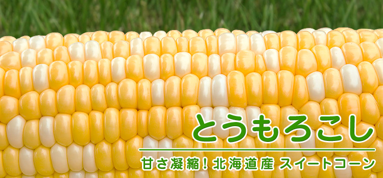 北海道とうもろこし