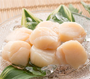帆立貝柱