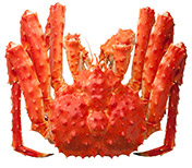 タラバガニ姿