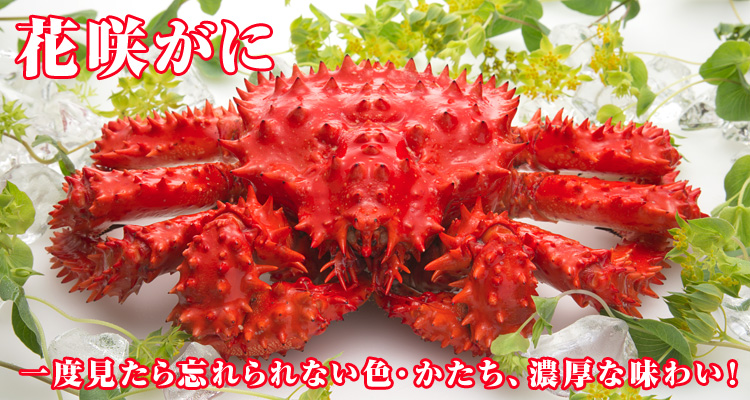 花咲がに　一度見たら忘れられない色・かたち、濃厚な味わい！
