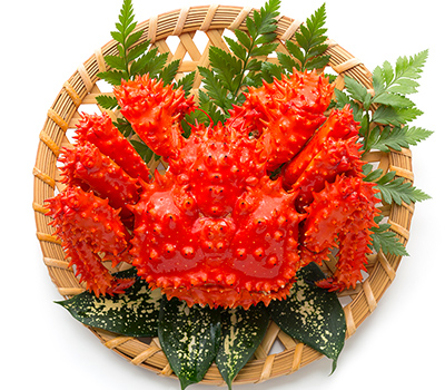 花咲がに姿