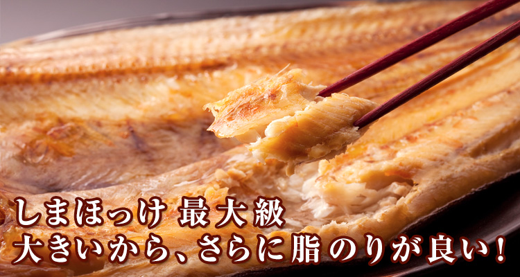 しまほっけ 最大級　大きいから、さらに脂のりが良い！