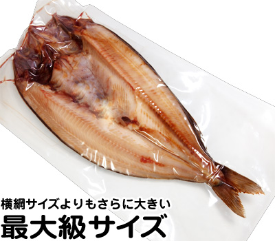 しまほっけ 最大級サイズ 真空