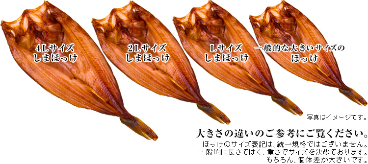 ほっけ 大きさの違い