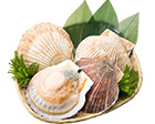 北海道産 貝付活帆立
