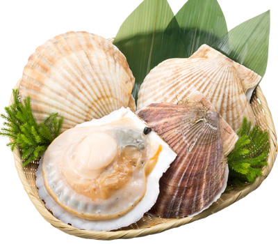 北海道産 貝付活帆立