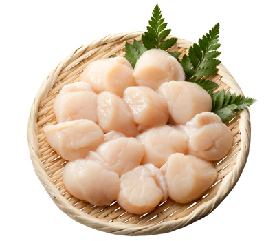 生帆立貝柱