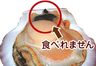 ホタテ貝