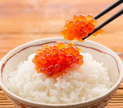甘塩筋子