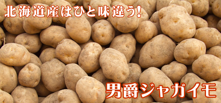 北海道産はひと味違う！ 男爵ジャガイモ