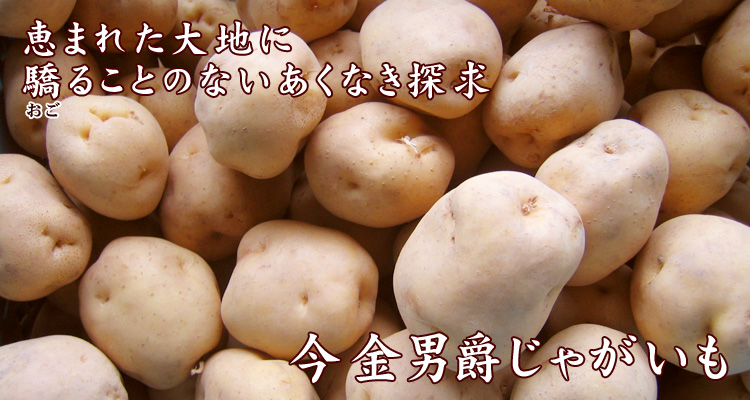 恵まれた大地に驕ることのないあくなき探求　今金男爵じゃがいも