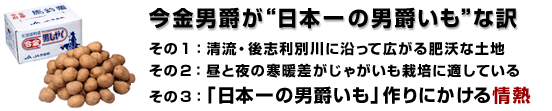 今金男爵が日本一の男爵いもな訳