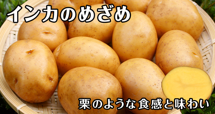 インカのめざめ