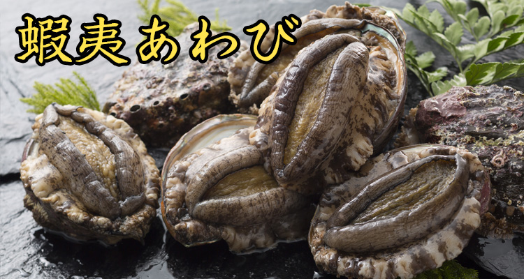 北海道産 蝦夷あわび