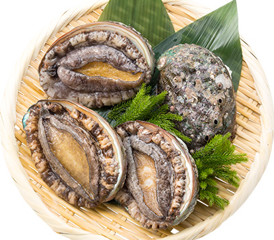 北海道産 蝦夷あわび