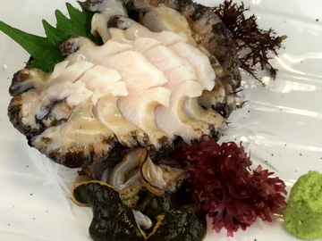 真つぶ貝 刺身