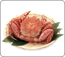 海明け毛蟹