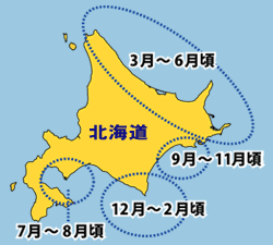 当店で取り扱う毛蟹のおもな産地とおもな漁の時期