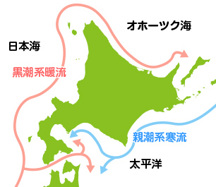 北海道の海流