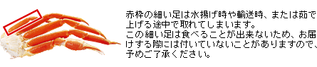 ご注意 ズワイガニの細い足について