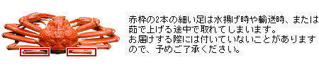 ご注意 ズワイガニの細い足について