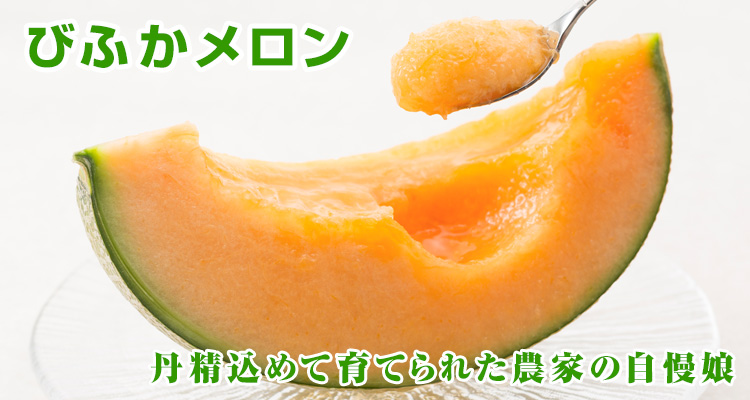 びふかメロン