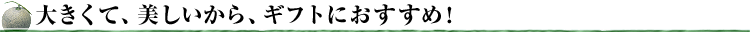 大きくて、美しいから、ギフトにおすすめ！