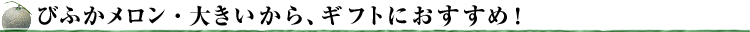 大きいから、ギフトにおすすめ！