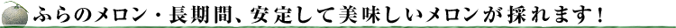 長期間、安定して美味しいメロンが採れます！
