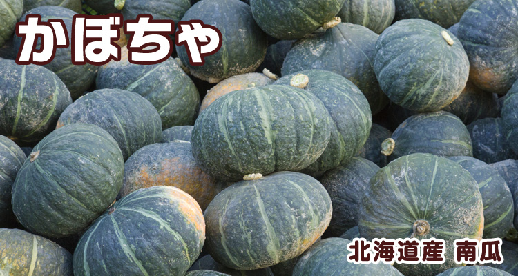 かぼちゃ 北海道産 南瓜
