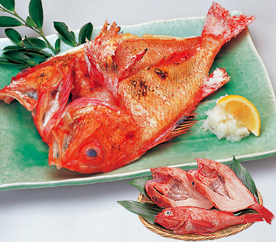 釣きんき