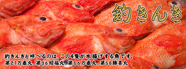 釣きんき