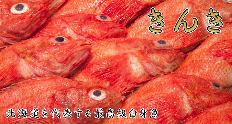 きんき 北海道を代表する最高級白身魚