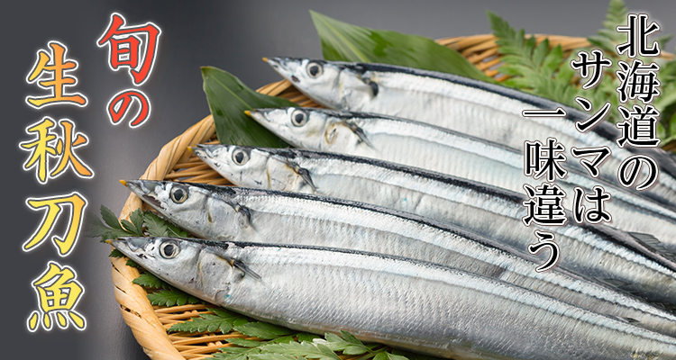 秋刀魚（サンマ）