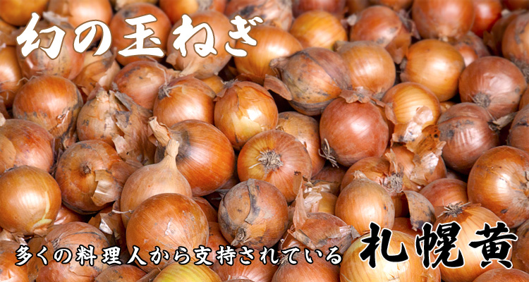 幻の玉ねぎ・多くの料理人から支持されている・札幌黄