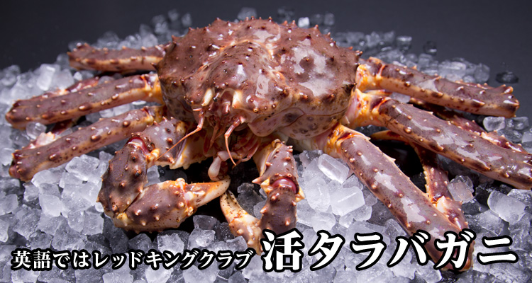 活タラバガニ