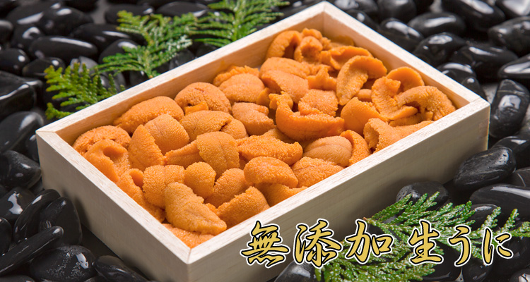 無添加 生うに