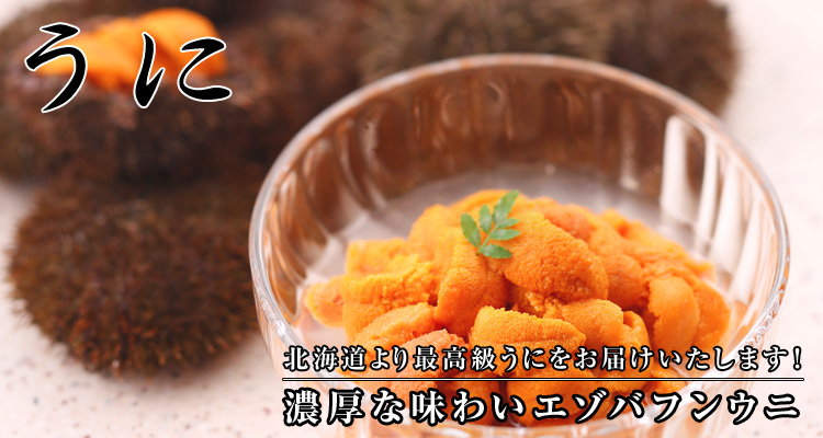 うに　濃厚な味わいエゾバフンウニ