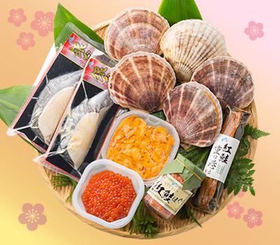 スプリングセレクション A